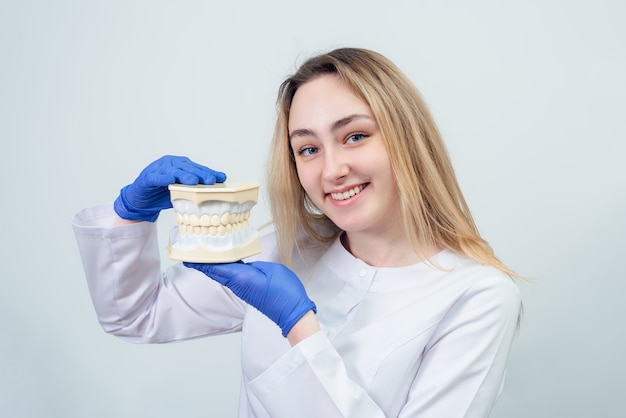 Girl dentist holds a volumetric model of teeth in her hands