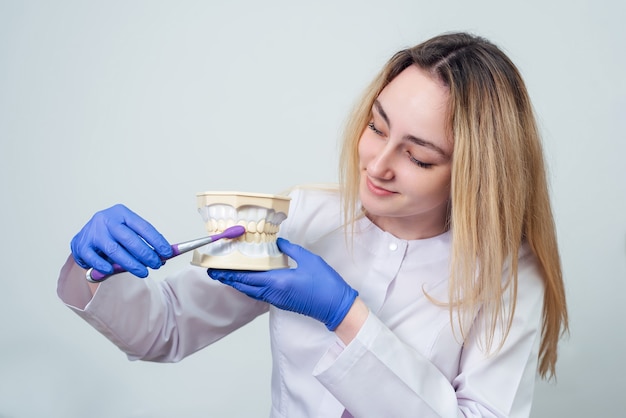 Girl dentist holds a volumetric model of teeth in her hands