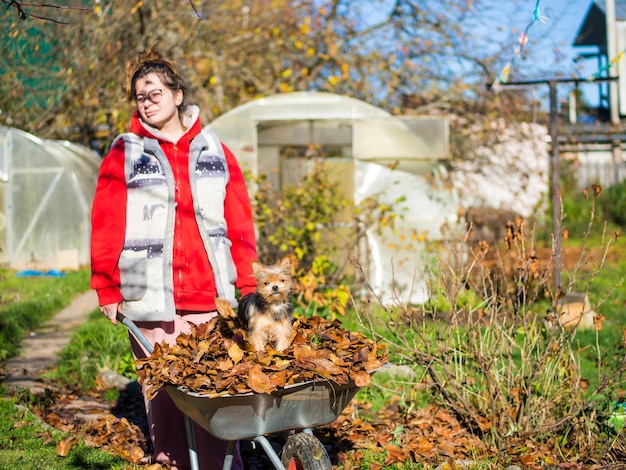 A girl does autumn cleaning in the garden a girl with a wheelbarrow filled with leaves