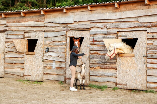 a girl on a farm treats horses and a goat with an apple