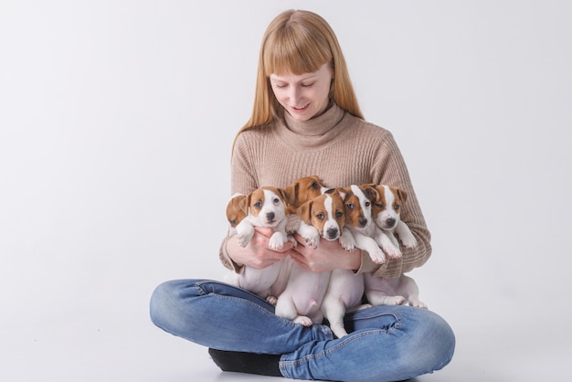 Girl feeding puppies jack russell terrier animal care