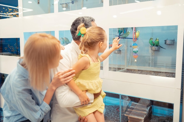 Girl feeling amazed while looking at cage with parrots