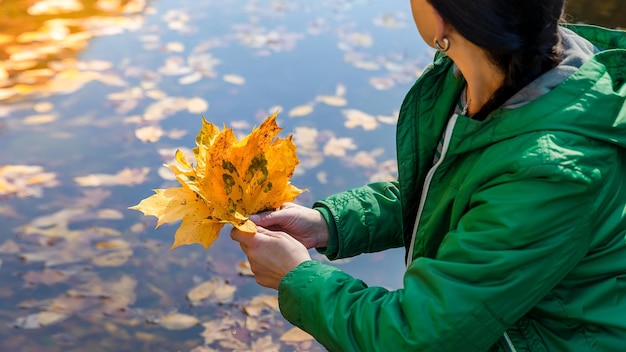 A girl in a green jacket holds yellow leaves in her hands.