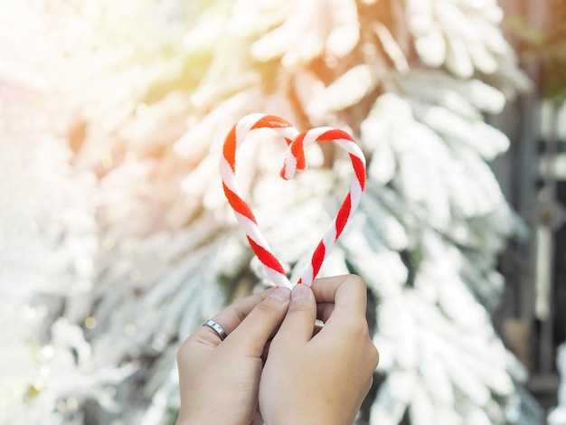 Girl hands holding Christmas staff ornament in heart shape over blurry pine trees with snow background.