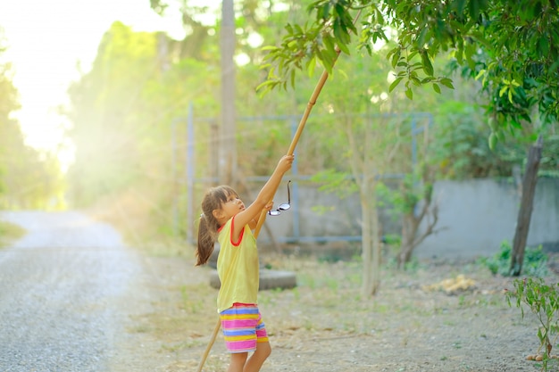 a girl harvesting fruit in a farm