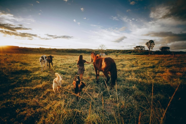 Photo a girl and her dogs are in a field with horses and a dog