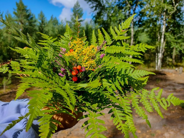 The girl in her hands holds a bouquet of green leaves