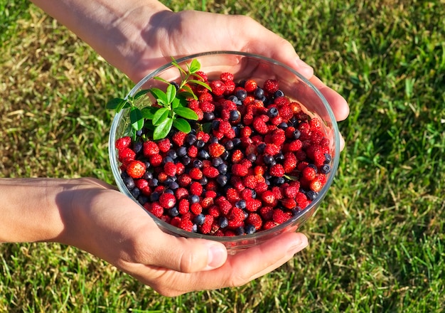 Girl holding a bowl of blueberries and strawberries