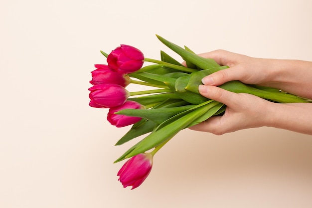 girl holding fresh tender red tulips with green leaves with her hands on a pastel beige background. Concept for Valentine's Day and Spring Holidays. Floral minimalism in bright colors