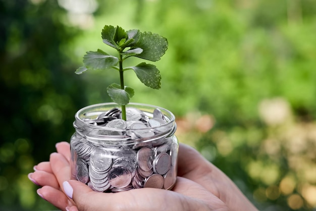 Girl holding in her hands a young plant in a glass jar with coins as a concept for investing