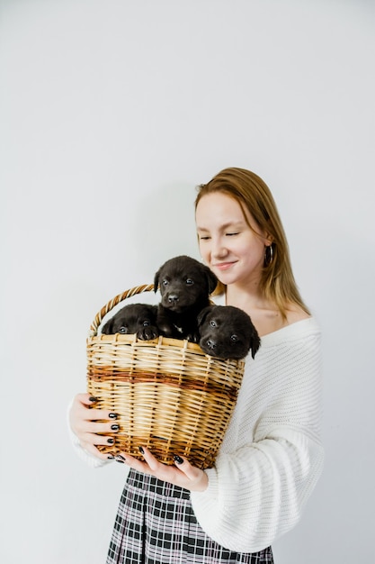 The girl holds black puppies in her hands