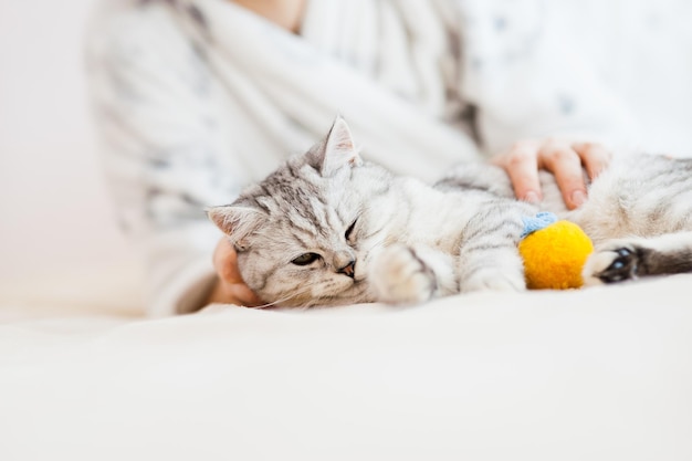 The girl is playing with a cat