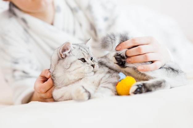 The girl is playing with a cat