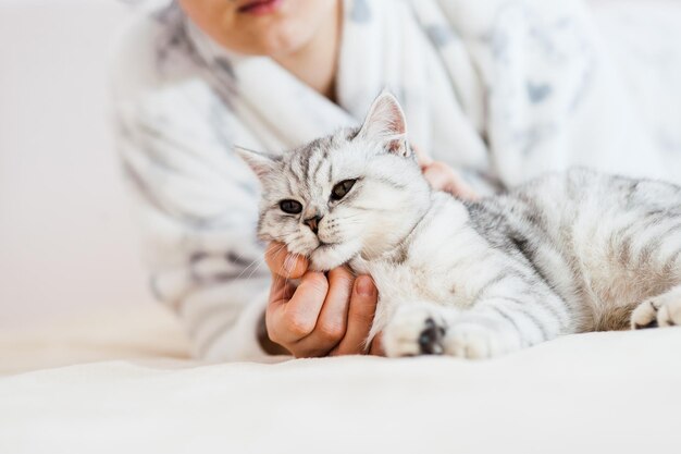 The girl is playing with a cat