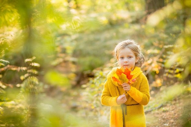 girl is playing with falling leaves.Kids  in the park. Children hiking in fall forest. Toddler kid under a maple tree on a sunny October day.