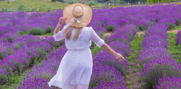 The girl is resting in the lavender field