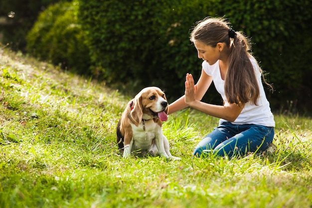 Girl is sitting with beagle dog on the grass