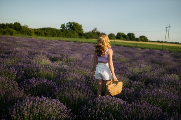 Girl in a lavender field Woman in a field of lavender flowers at sunset in a white dress France Provence