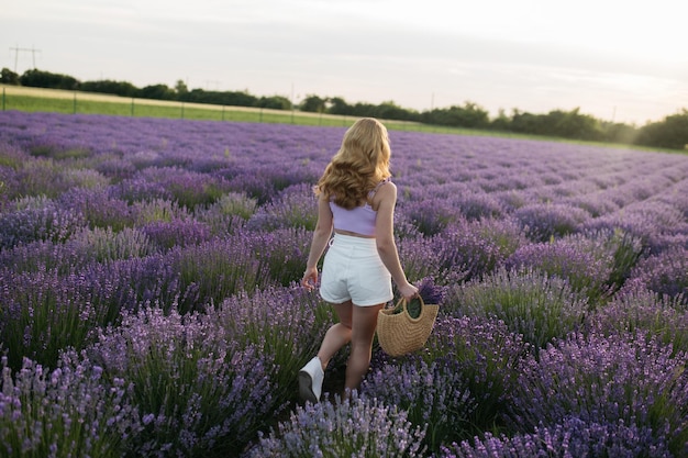 Girl in a lavender field Woman in a field of lavender flowers at sunset in a white dress France Provence