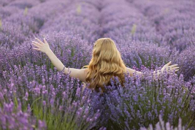 Girl in a lavender field Woman in a field of lavender flowers at sunset in a white dress France Provence