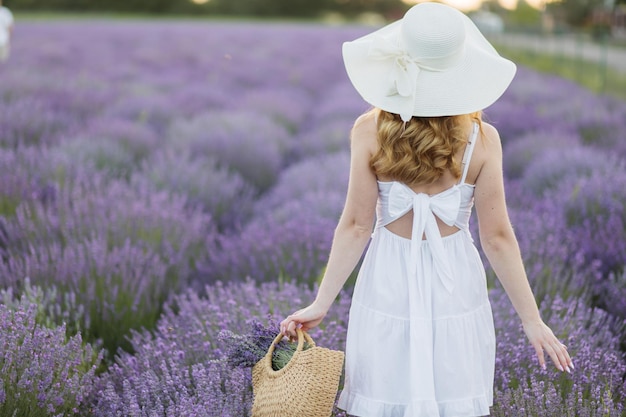 Girl in a lavender field Woman in a field of lavender flowers at sunset in a white dress France Provence