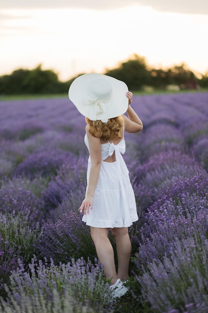 Girl in a lavender field Woman in a field of lavender flowers at sunset in a white dress France Provence