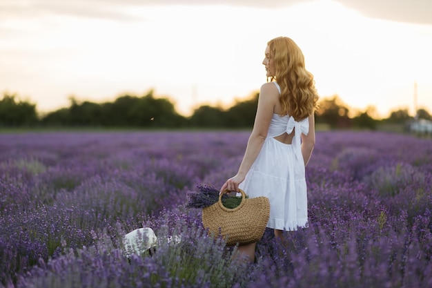 Girl in a lavender field Woman in a field of lavender flowers at sunset in a white dress France Provence