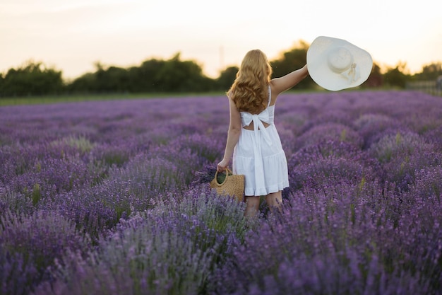 Girl in a lavender field Woman in a field of lavender flowers at sunset in a white dress France Provence