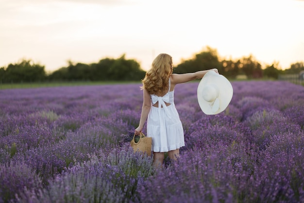 Girl in a lavender field Woman in a field of lavender flowers at sunset in a white dress France Provence