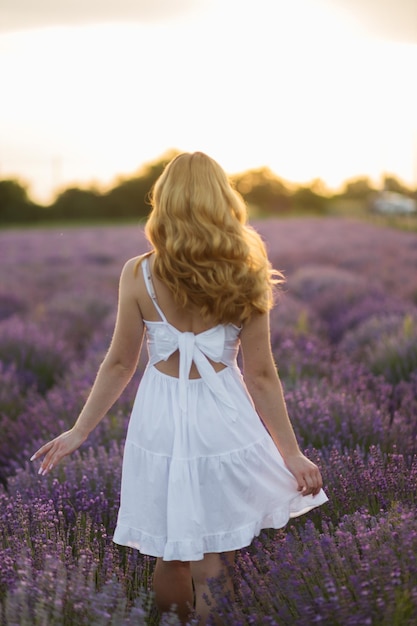 Girl in a lavender field Woman in a field of lavender flowers at sunset in a white dress France Provence