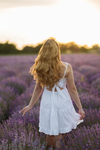 Girl in a lavender field Woman in a field of lavender flowers at sunset in a white dress France Provence