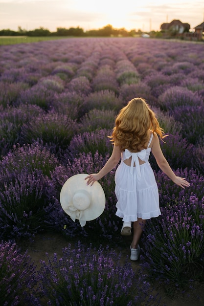 Girl in a lavender field Woman in a field of lavender flowers at sunset in a white dress France Provence