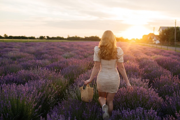 Girl in a lavender field Woman in a field of lavender flowers at sunset in a white dress France Provence