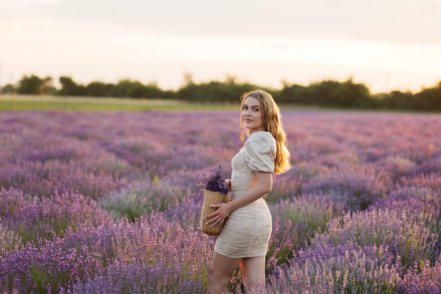 Girl in a lavender field Woman in a field of lavender flowers at sunset in a white dress France Provence