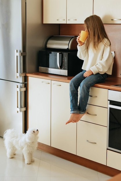 girl model plays with pet white dog maltese school girl at home lifestyle in beige kitchen