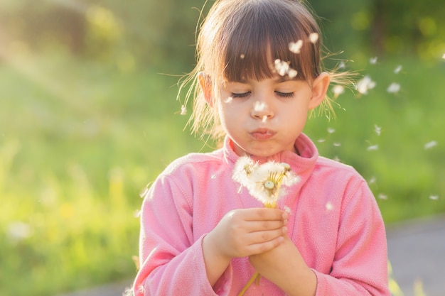 girl in nature collects sniffs and blows dandelions