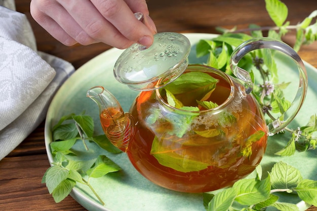 The girl opens the lid of a glass teapot with green tea and mint. Healthy food, antioxidants.