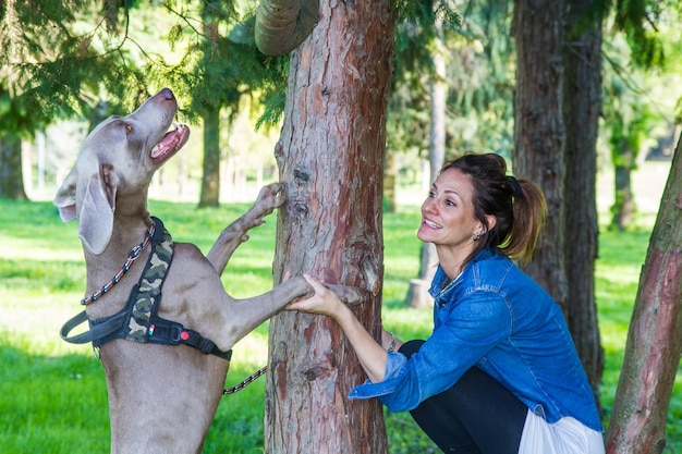 girl at the park with dog weimaraner