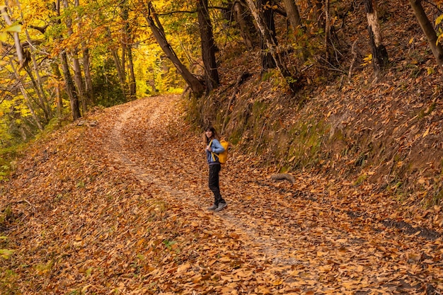 Girl on a path of beautiful trees in autumn on Mount Erlaitz in the town of Irun, Gipuzkoa. Basque Country