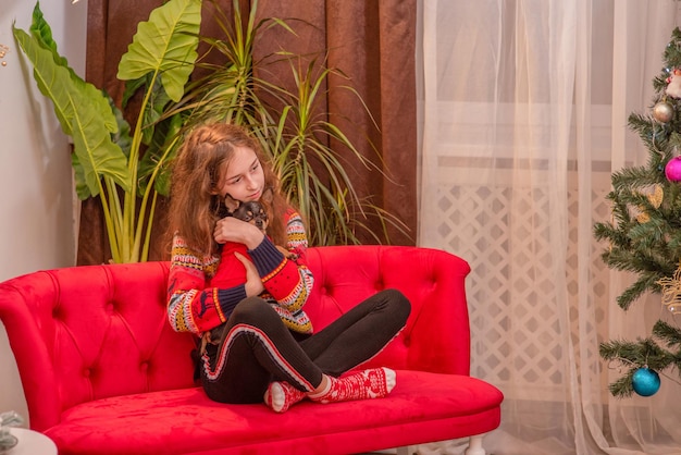 A girl and a pet A teenage girl with a chihuahua dog on a red sofa near a Christmas tree