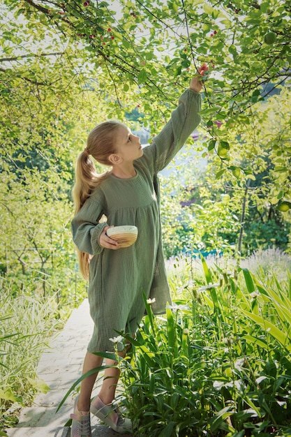 Girl picking cherries