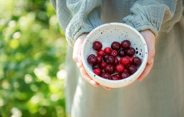 Girl picking cherries