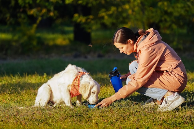 Girl in a pink raincoat gives water to a golden retriever puppy in a dog park