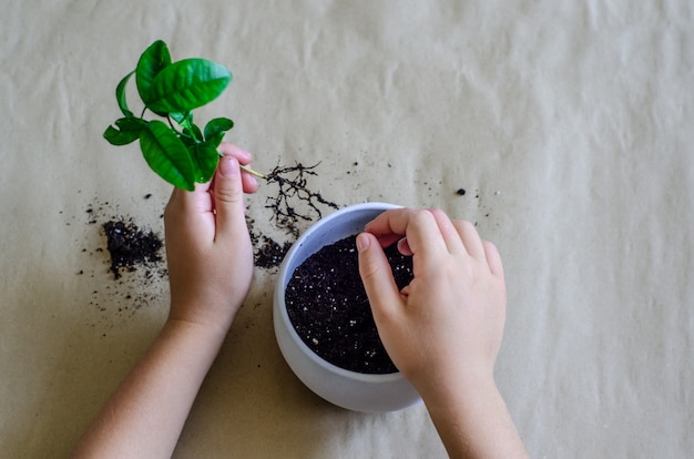 A girl planting a plant in a pot