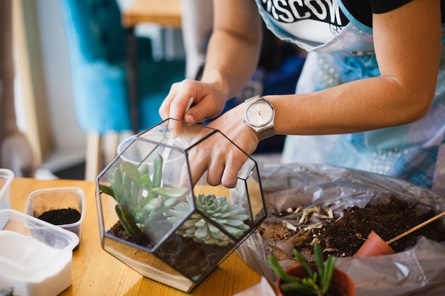 Photo the girl plants a glass form, planting flowers, glass terarium