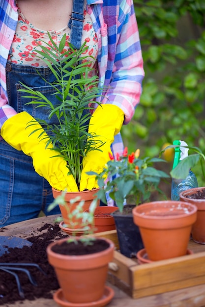 Girl plants a plant