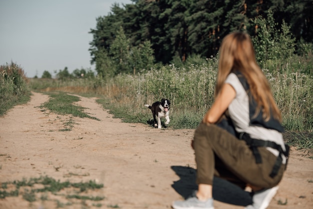 Girl playing with black and white border collie dog puppy on the forest path