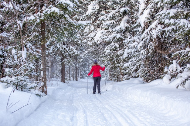 A girl in a red jacket goes skiing in a snowy forest in winter. The view from the back. Snow background with skis between the trees.