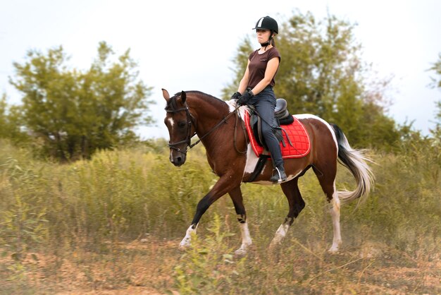 A girl in a riding helmet rides a skewbald horse at a trotting in a field among green bushes towards the photographer