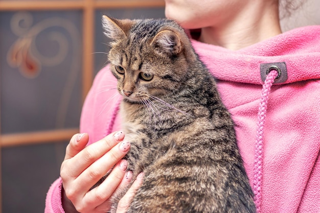 Girl in the room holding a small striped kitten